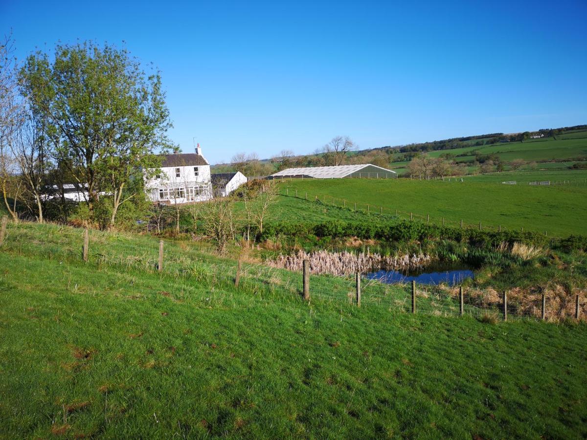 Glen Roe - 3 Bed Lodge On Friendly Farm Stay With Private Hot Tub New Cumnock Exterior photo