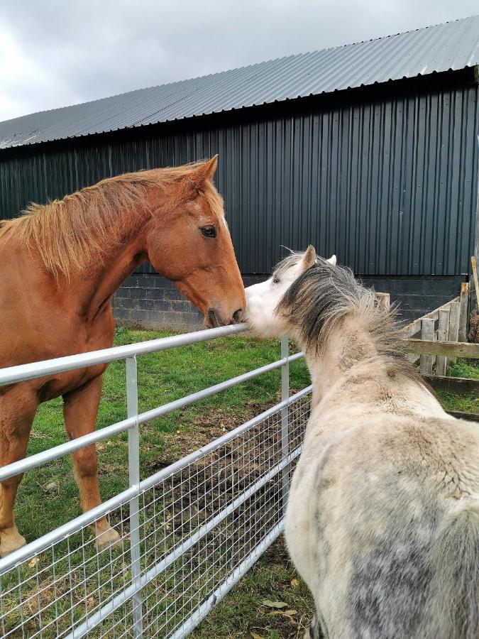 Glen Roe - 3 Bed Lodge On Friendly Farm Stay With Private Hot Tub New Cumnock Exterior photo