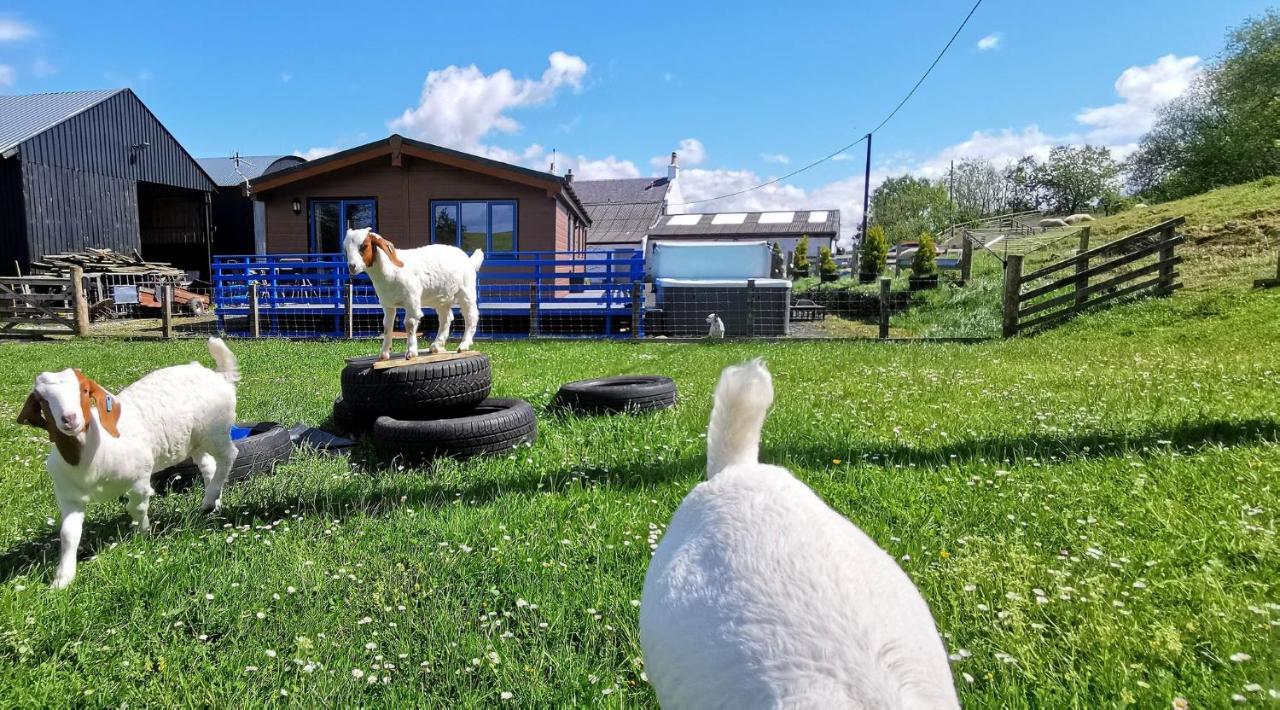 Glen Roe - 3 Bed Lodge On Friendly Farm Stay With Private Hot Tub New Cumnock Exterior photo